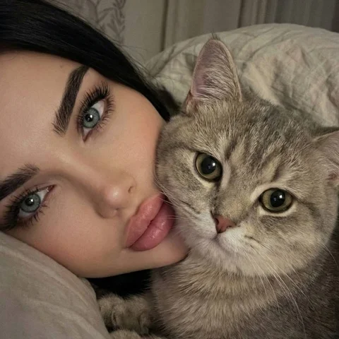 🐱