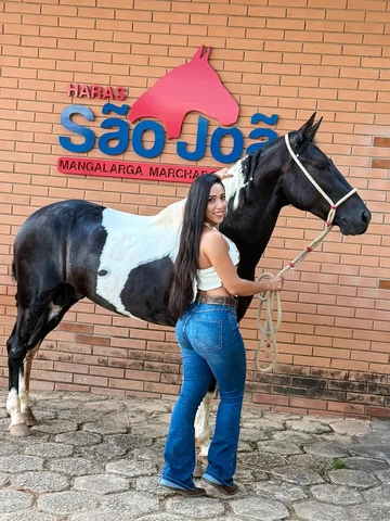 🔰Cacique da Nova Vista🐎