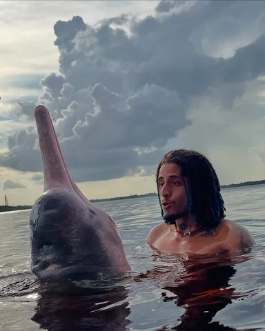 Em busca do lendário Golfinho rosa🐬💕