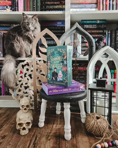 Happy Caturday!

Showing off the beautiful @bookish_signs editions of Throne in 
