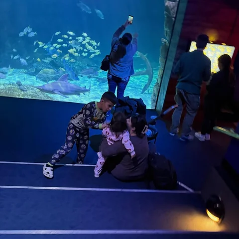 Went to the aquarium after we picked up Eli from school today and I feel so unbe
