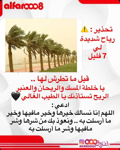 تصبحون على ما تتمنون 😴
