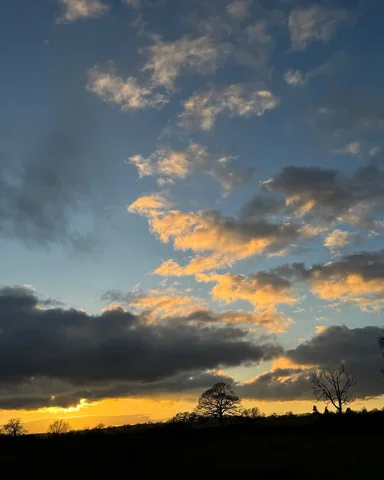 Evening