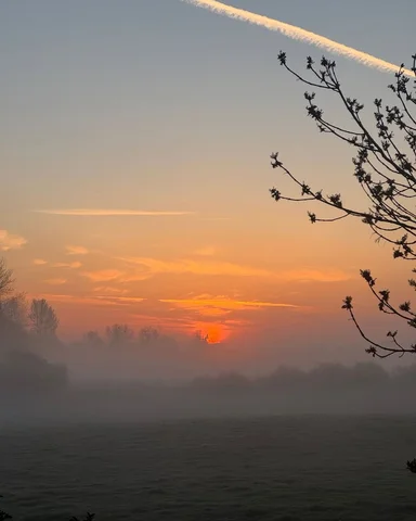Morning