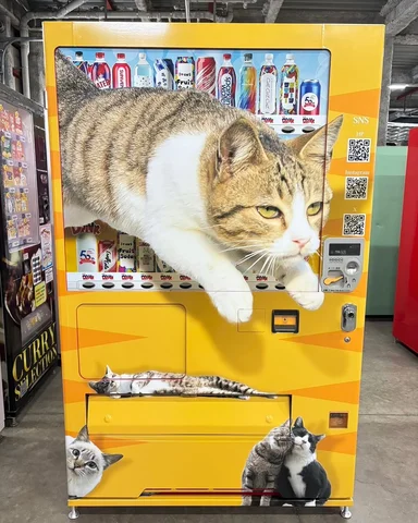 飛び猫ラッピング自販機がついに誕生しました

with DRINK自販機ショップ栗原高清水(自販機ミュージアム)
場所：宮城県栗原市高清水大沢1−1
#猫　#c