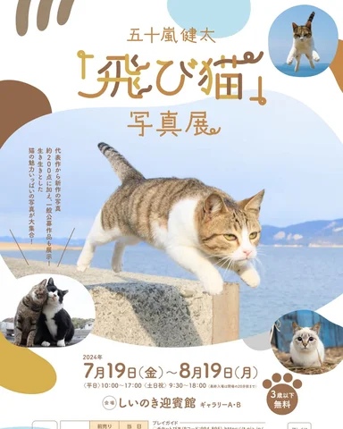 石川県金沢市にある「しいのき迎賓館」で猫写真展を開催します

五十嵐健太「飛び猫」写真展
2024年7月19日（金）～8月19日（月）
【主　催】しいのき迎賓館