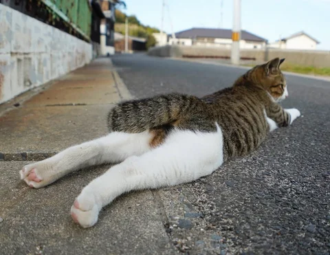 おはようございます
今日もよろしくおねがいします