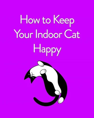From catification and puzzle toys to harness training and the 3 R’s, there are s