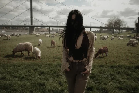 spring