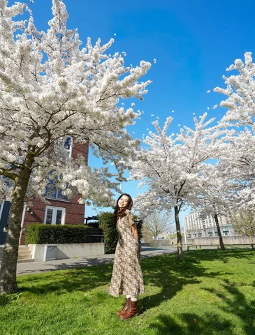 Spring is almost here, here is a blooming flower today at Utrecht 🌸🌸🌸

Exact 