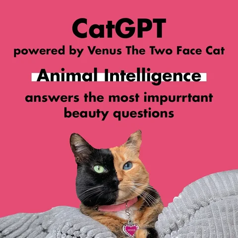 Introducing CatGPT! 😻📱

@venustwofacecat is using her Animal Intelligence (AI)