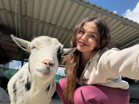 Últimas semanas de una chica independizada🏡✨🐐💗🕯️