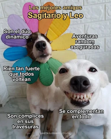 🐶 Este es el momento perfecto para que etiquetes a ese amix con quien tienes un