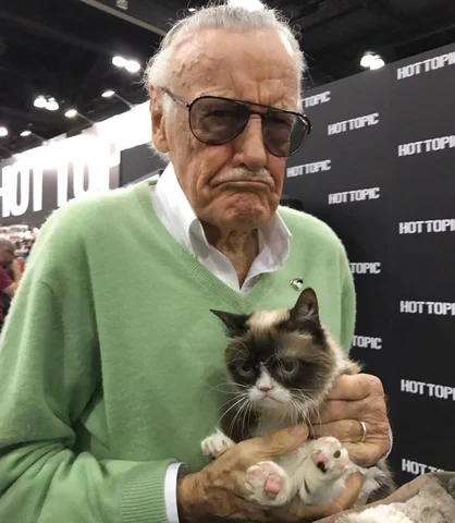 Stay grumpy, folks! 

@realgrumpycat

#StanLee #StanLeeUniverse #Marvel #Excelsi