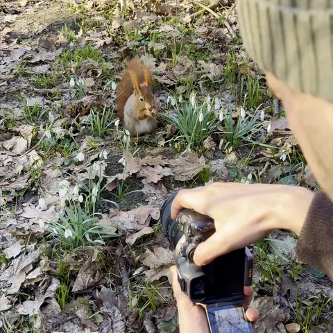 Spring arrived 🌷🐿️