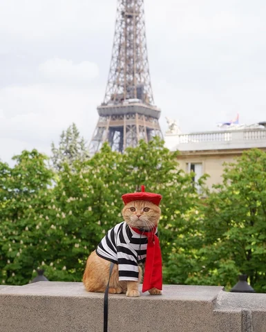 An American in Paris 🇫🇷.

Our airplane plushie is now fully funded! Thank you 