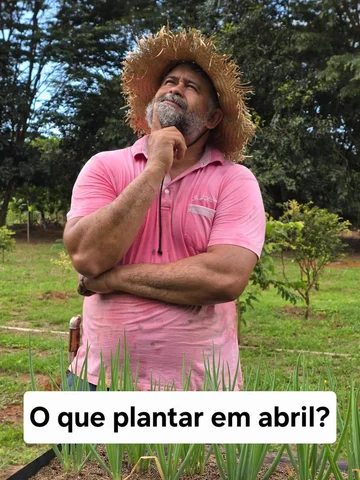 Essas são algumas opções de culturas para plantar no mês de abril, essas eu vou 