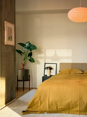 Recent moments in my Downtown LA apartment where the light left me speechless 🔦