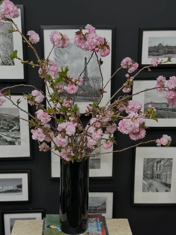 Pretty cherry blossom!! 🌸🌸🌸✨✨✨✨ #fleur #florist #floraldesigns #flowerstagram