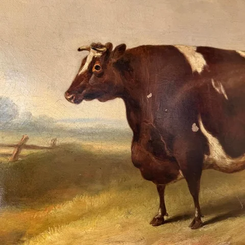 The Gift of The Cow. Christenings, Weddings & Parties. Birthdays, Divorces & Wak