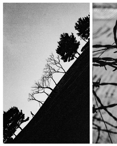 Images taken with the #pentax17 by @poetic.duck

#shootPENTAX

#filmcameraclub #