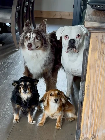 They all have a wonderful poker face except one…🤣