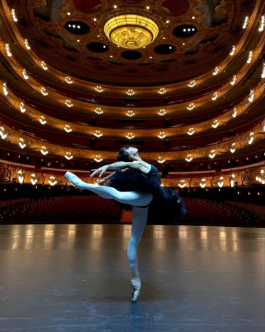 yall know i had to do a black swan version;))) thank you so much @ibstagegalas f