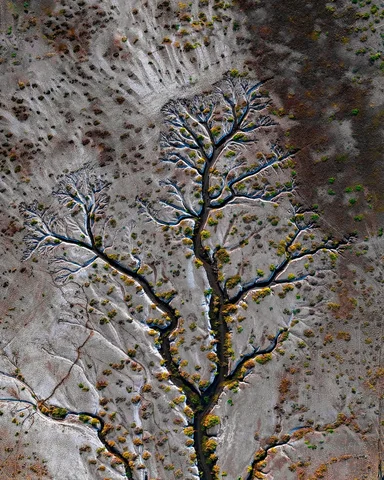 Nature’s art at it's best!
Last year, on a flight from Ahmedabad to Bengaluru, I