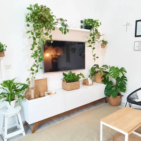 Oii gente 🤎🍃
Arraste para o lado para ver a diferença de uma sala decorada com