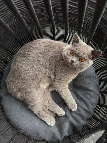 Swipe to see me 3 months ago 🥹

Hugo ist einfach sooo schnell groß geworden. Er