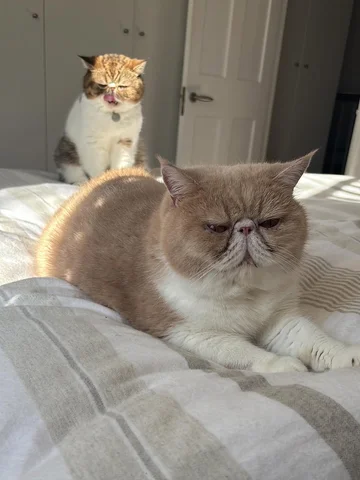 ❤️