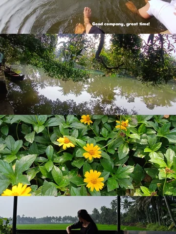 ~🌻🍂🦢
#fy
#naturegram 
#aesthetics 
#post25