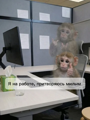 Всех с понедельником 😀
Если на работе всё бесит, просто доживите до обеда 😅

И