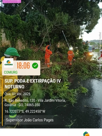 DEZESSEIS ÁRVORES CAÍRAM COM A CHUVA DE HOJE, EM GOIÂNIA 

A Companhia de Urbani