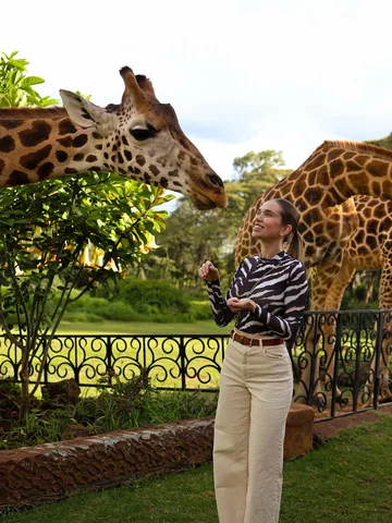 17:00 в Giraffe Manor виглядає так 🦒
Вечірнє чаювання з жирафами і незабутні вр