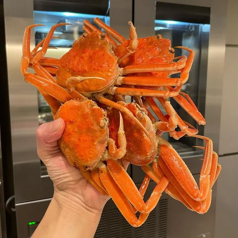 🦀🔥🦀“SEIKOGANI香箱ガニ”🦀🔥🦀.
.
Female snow crab(KOUBAOOGANI) is season in Japan�