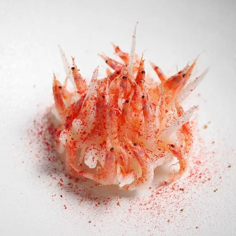🌸🦐🔥”Sakura-Ebi and Scallop”🔥🦐🌸.
.
いつかの試作🦐🔥🌸
.
#sakura #shrimp #kyoto #f