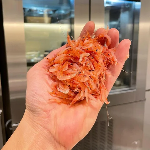 🌸🦐🌸”Sakura-Shrimp” 🌸🦐🌸.
.
seasonal ingredients🌸🍁🌸🍁🦐.
.
#ebi #sakuraeb
