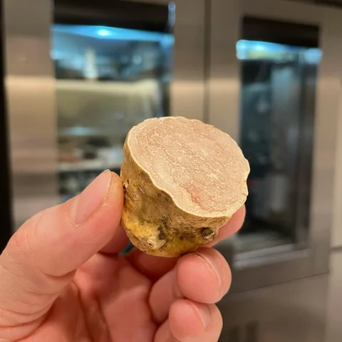 🤭🥔🫠”Potato🤥”🫠🥔🤭.
.
Alba White truffle.
.
アルバ産白トリュフ🫠🤩.
.
#alba #white #t