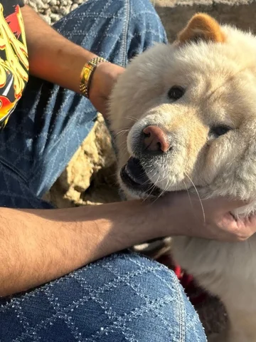 🌴