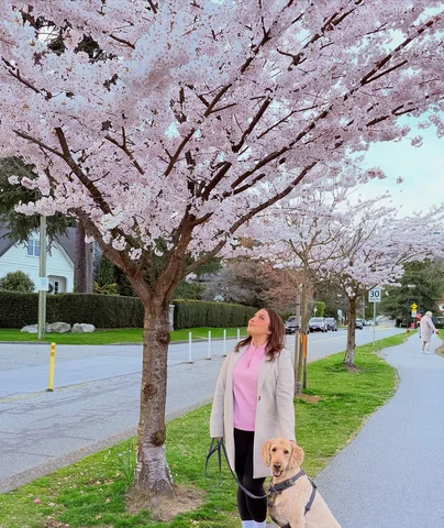 March in bits and pieces 🌸💖
#marchrecap #marchdiaries #vancouvermua #cherryblo