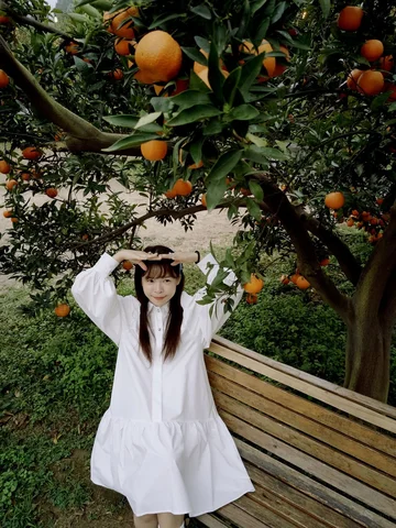 🍊🧡🛵