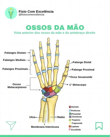 👉🏻 Siga @fisiocomexcelencia para mais conteúdos como esse.

Já salva para revi