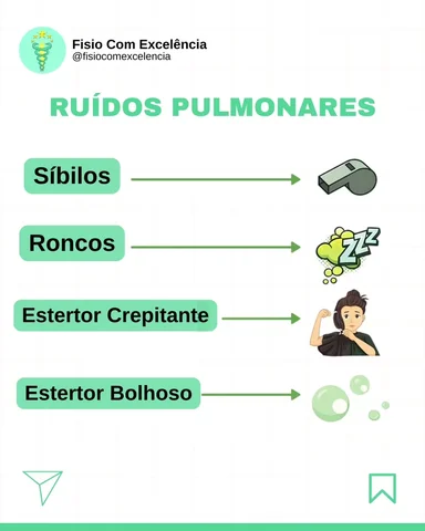 👉🏻 Siga @fisiocomexcelencia para mais conteúdos como esse.

Ruídos pulmonares 