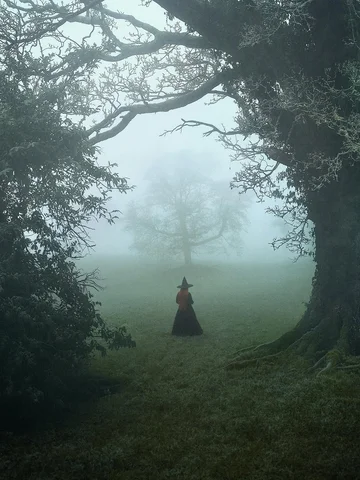 All Hallows Eve 🖤

Blessed Samhain & Happy Halloween🎃

Here are some of my fav