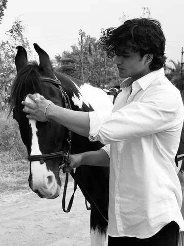 Ride with me into the sunset 🐎
.
.
.
.
.
.
.
.
#viralpost #post #horse #hairsty