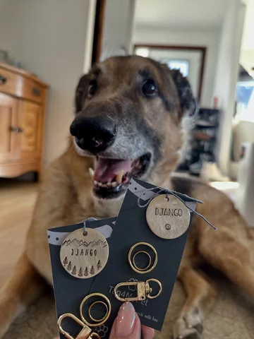 Love our new tags from @tag4mypet ! It’s basically like a choose your own advent