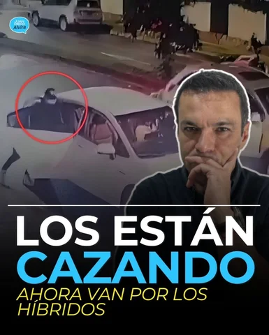 ¿Bogotá tierra de nadie? Ojo a esto 👇🏻

Las imágenes no son un caso aislado:
a