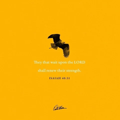 “They shall mount up with wings like eagles, They shall run and not be weary, Th