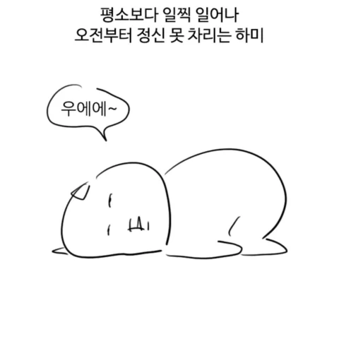 24개월